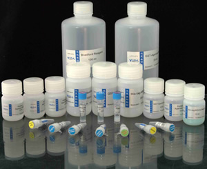 抗A抗B血型定型試劑(單克隆抗體)